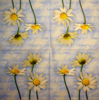 348 Daisies - 3-ply - CS